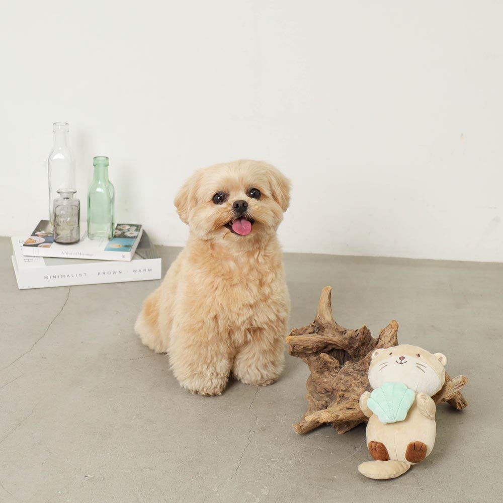 sea otter and seashell toy