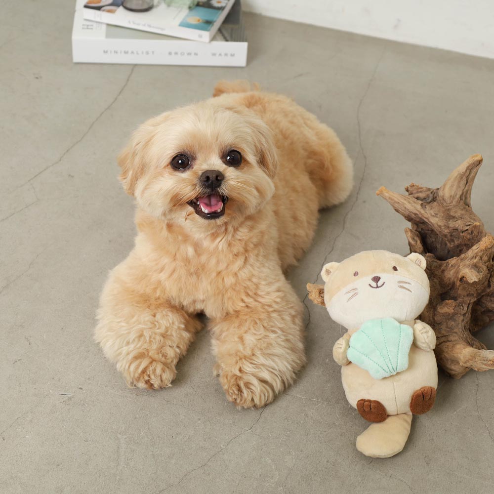sea otter and seashell toy