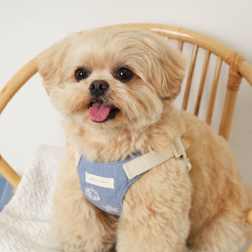 Cool Shell Starfish Pattern Harness + Lead Set [Compatible with name embroidery]