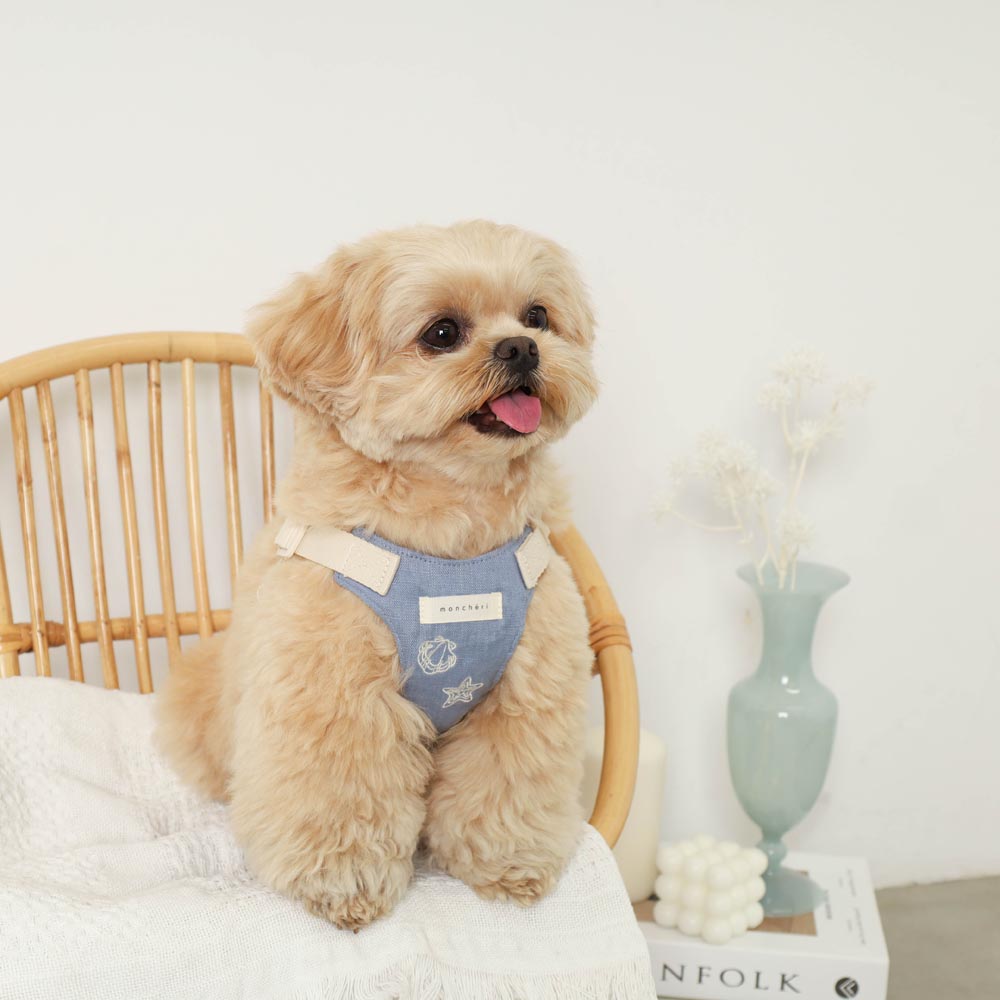 Cool Shell Starfish Pattern Harness + Lead Set [Compatible with name embroidery]