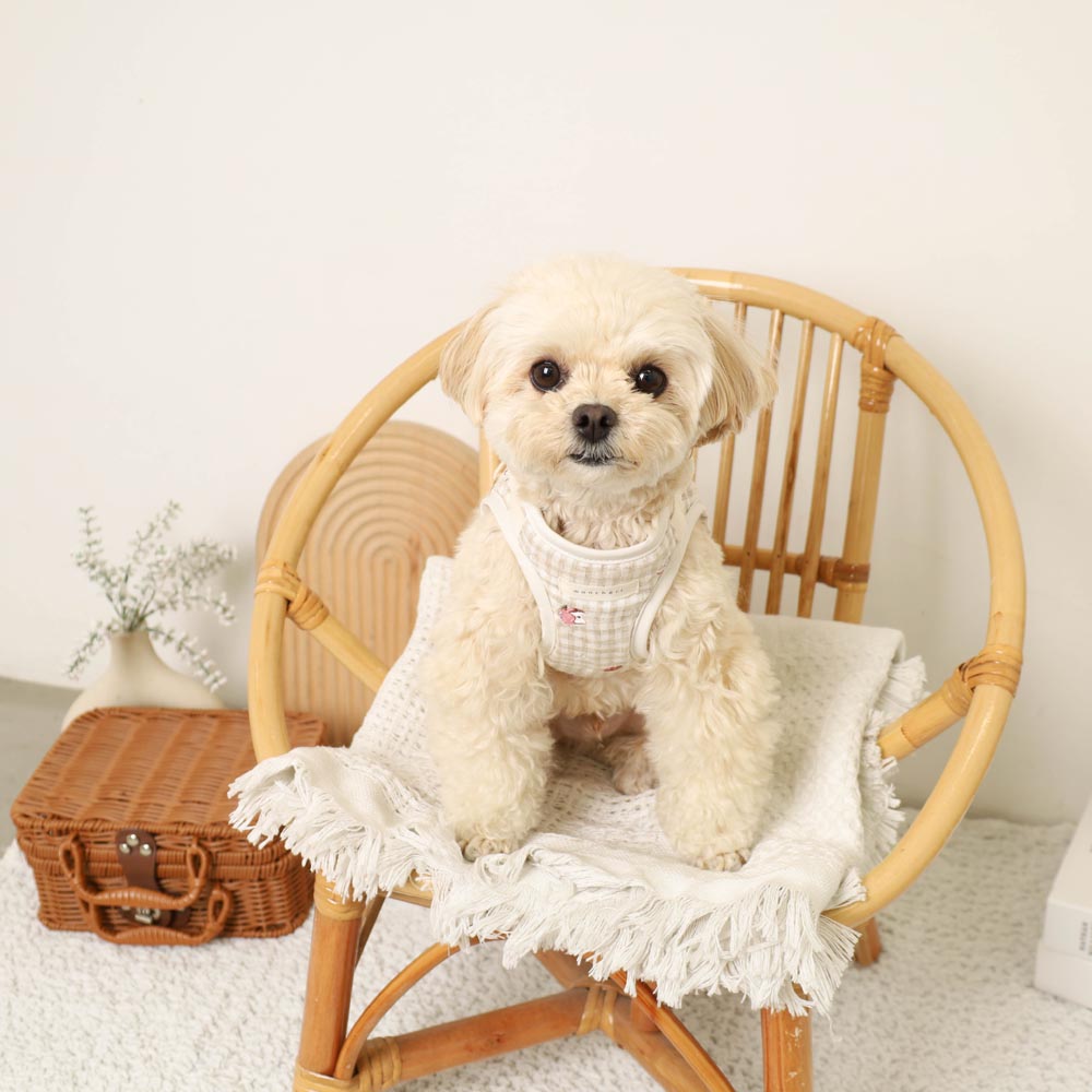 moncheri 犬用ハーネス チェック柄 りんご刺繍 リンゴ柄刺繍ハーネス+リードSET【名入れ刺繍対応】
