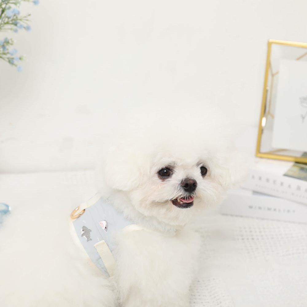 首輪・リード・ハーネス | ドッグウェア・犬服通販 - monchéri(モンシェリ)