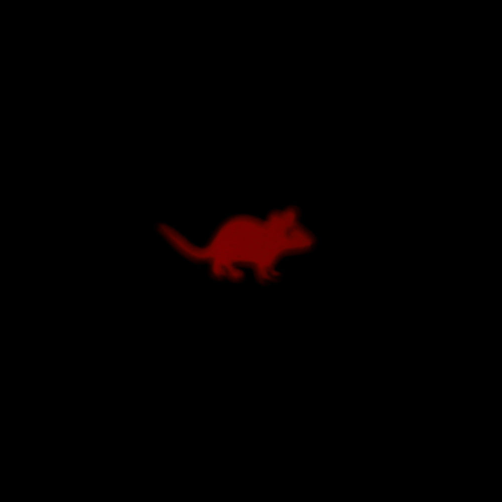 USB可充电猫脚激光笔