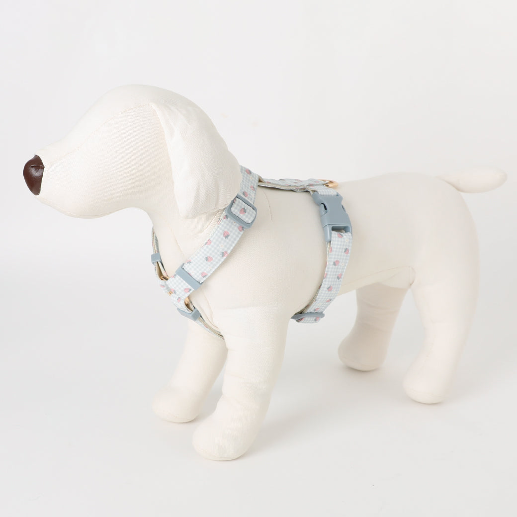 gingham strawberry harness