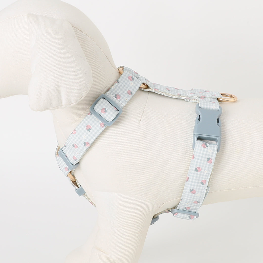 gingham strawberry harness