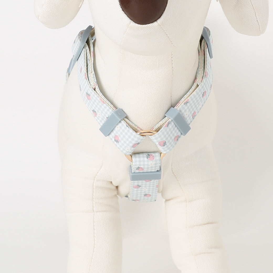 gingham strawberry harness