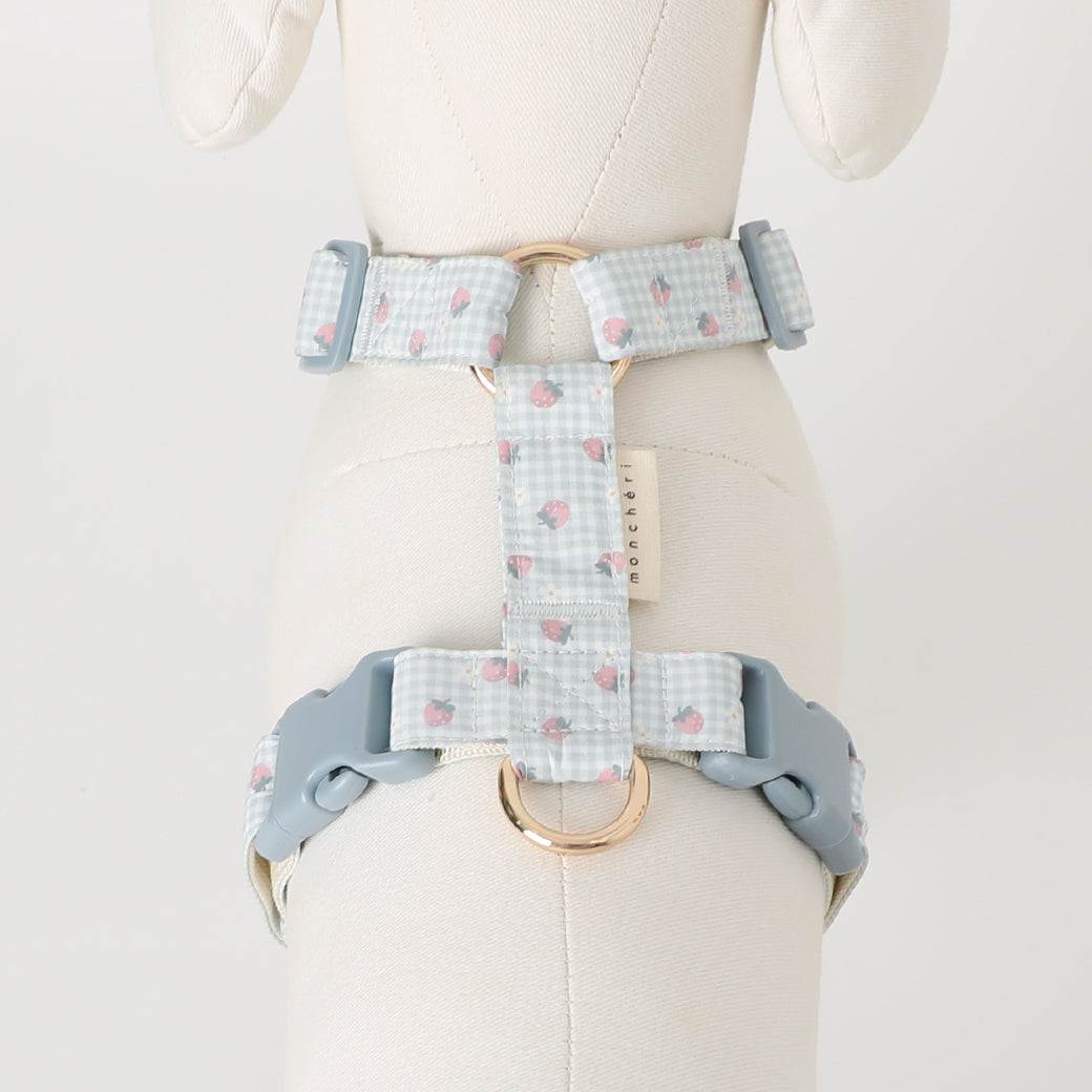gingham strawberry harness