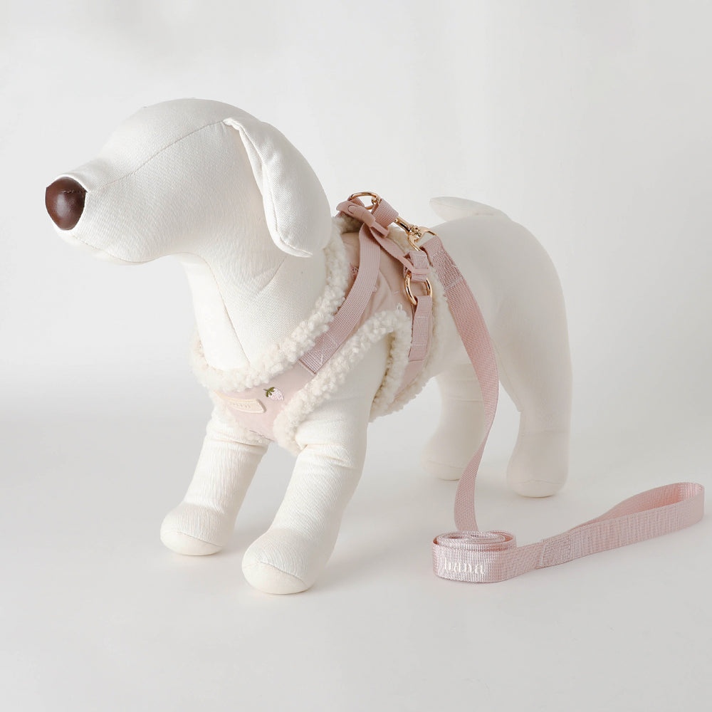 Rabbit pattern harness + lead set [Name embroidery available]