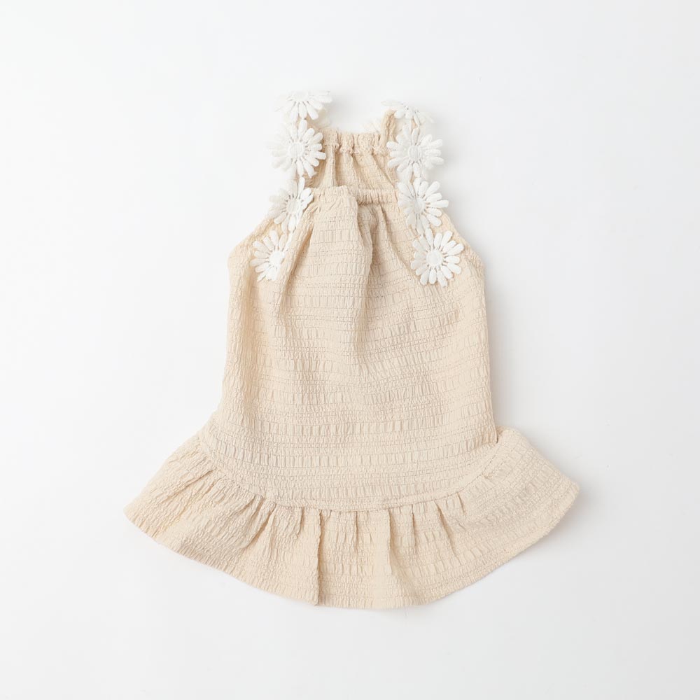 【完売品】モンシェリ　ワンピース2点 ドッグウェア・犬服通販 - monchéri(モンシェリ)
