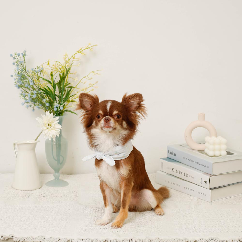 Cool insect repellent ice print ribbon bandana [with ice pack]