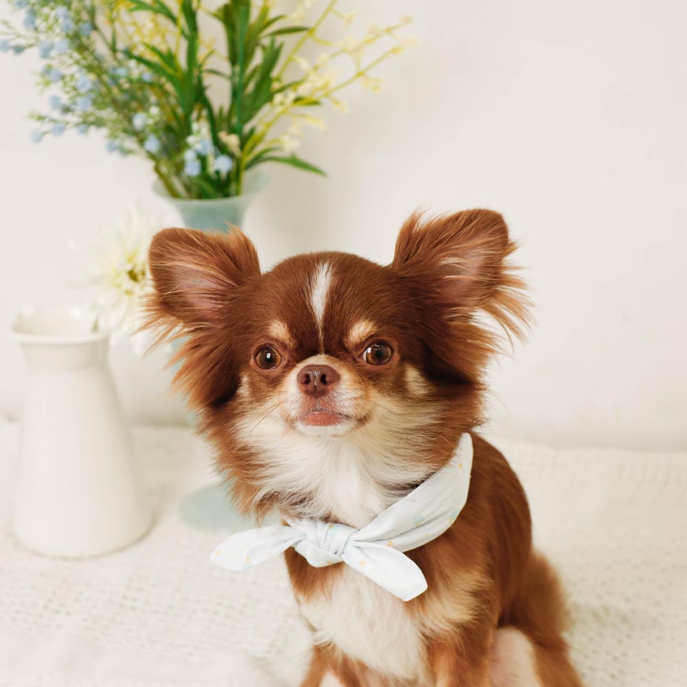 Cool insect repellent ice print ribbon bandana [with ice pack]