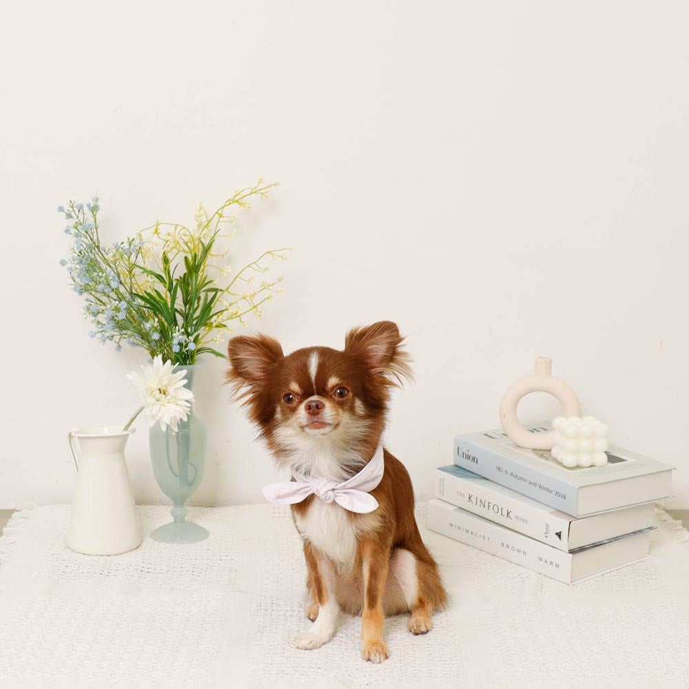 Cool insect repellent ice print ribbon bandana [with ice pack]