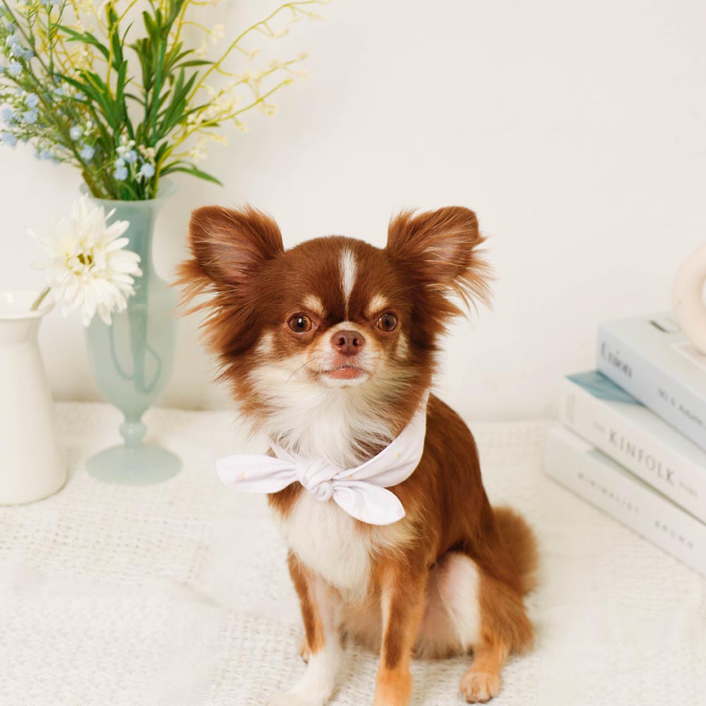 Cool insect repellent ice print ribbon bandana [with ice pack]