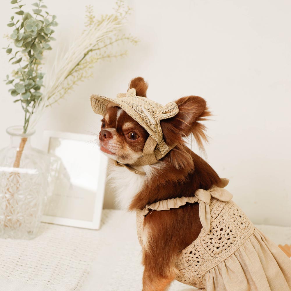 クー・ドゥ・ピエ　coup de pied　ロマンティックな麦わら帽子　犬柄 gelato pique（ジェラートピケ）【CAT&DOG】【販路限定商品】レイン