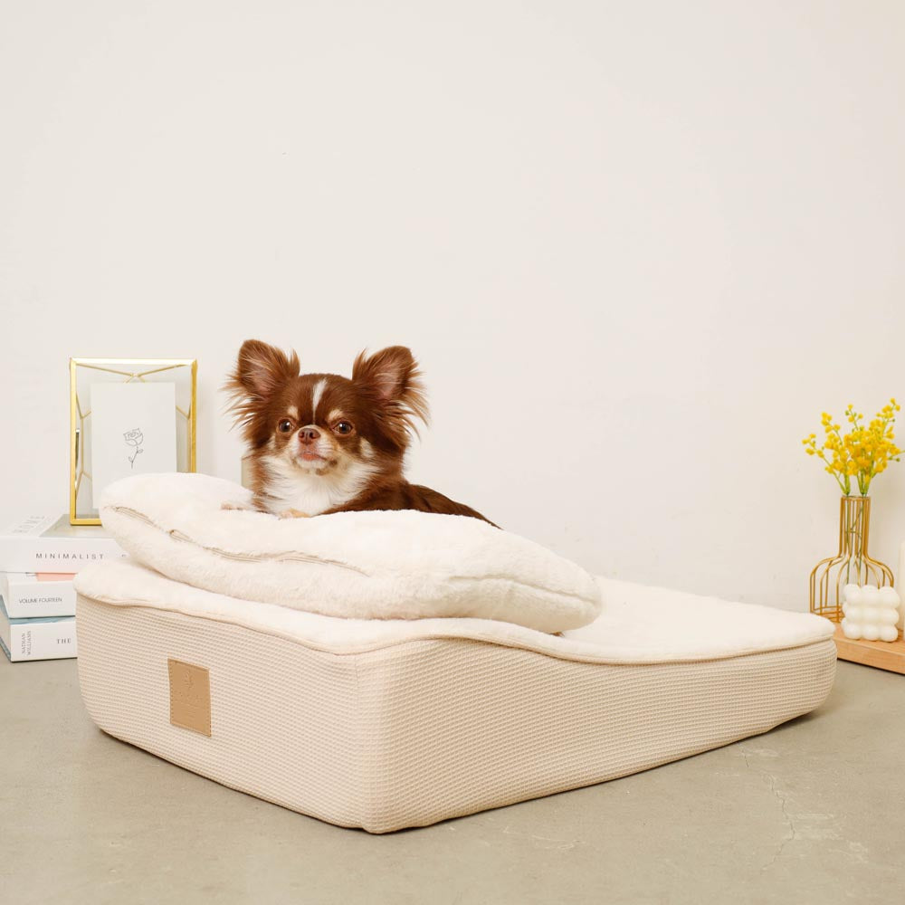 Slope cushion bed with memory foam pillow