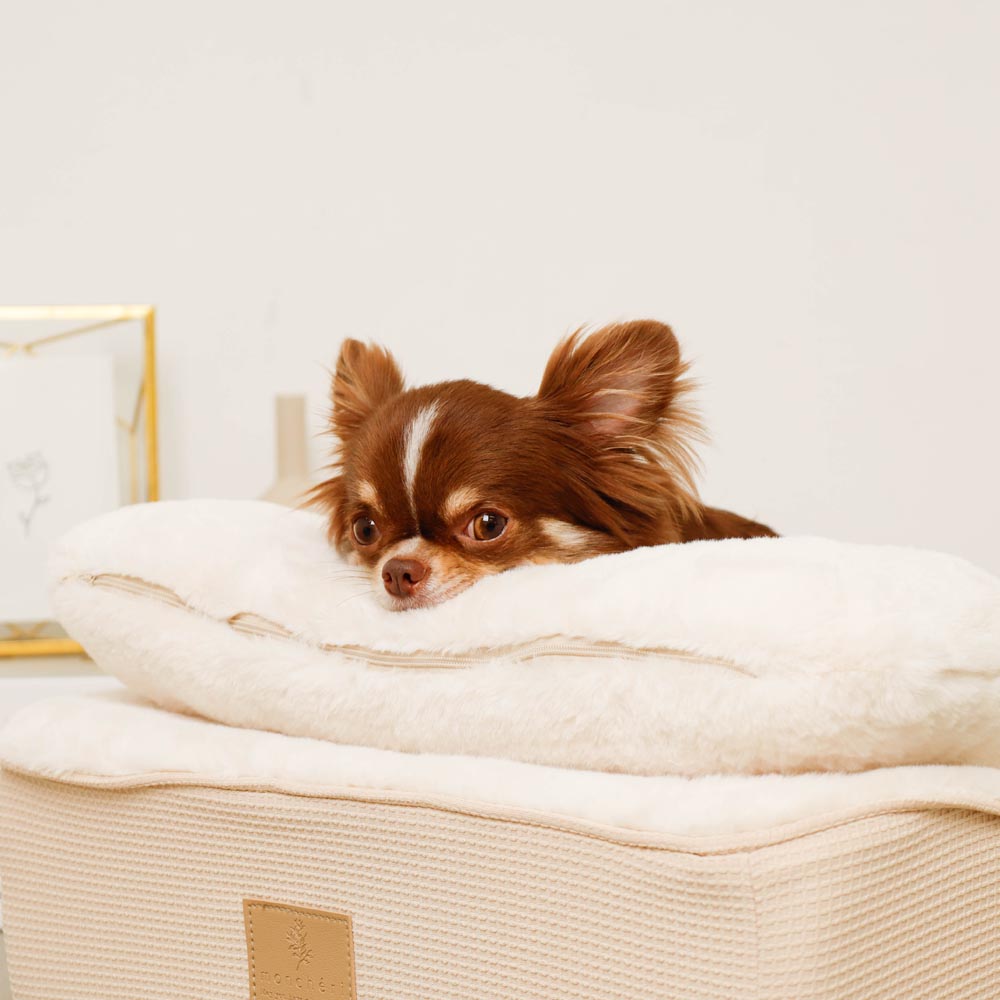 Slope cushion bed with memory foam pillow