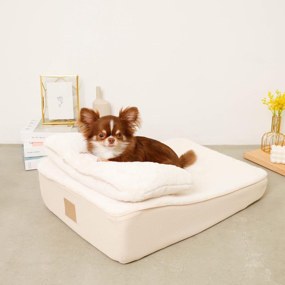 Slope cushion bed with memory foam pillow