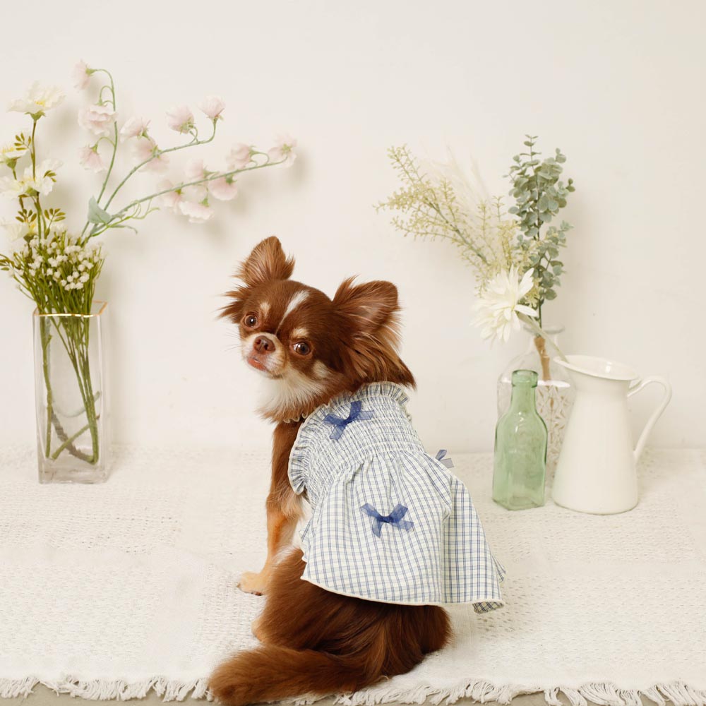Cool check gathered ribbon dress
