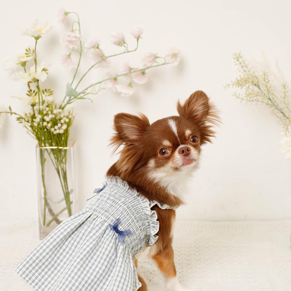 Cool check gathered ribbon dress