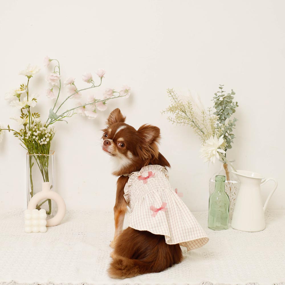 Cool check gathered ribbon dress