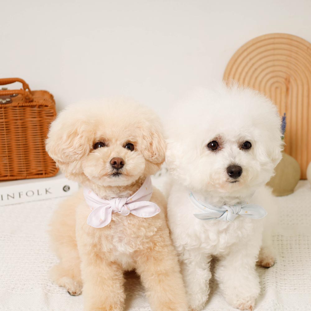 Cool insect repellent ice print ribbon bandana [with ice pack]