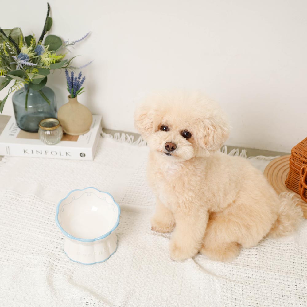 lace pattern food bowl