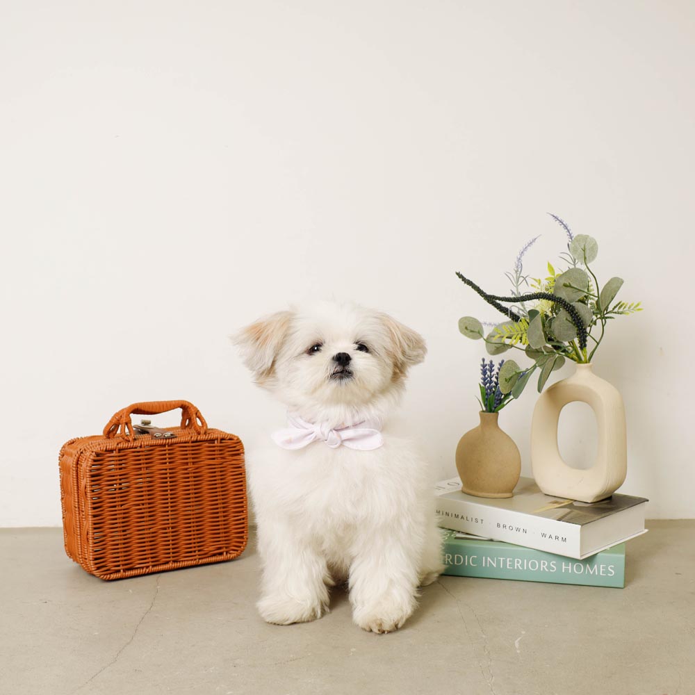 Cool insect repellent ice print ribbon bandana [with ice pack]