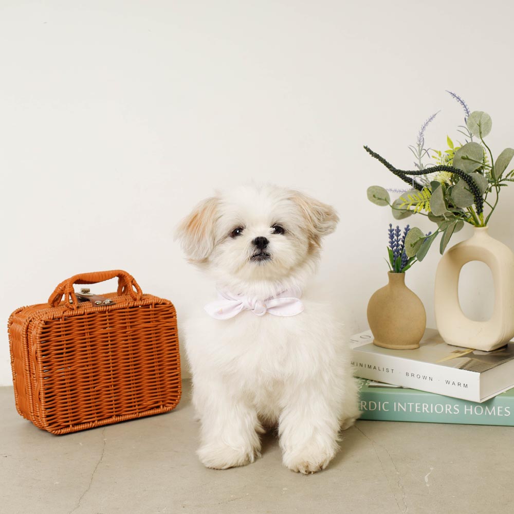 Cool insect repellent ice print ribbon bandana [with ice pack]