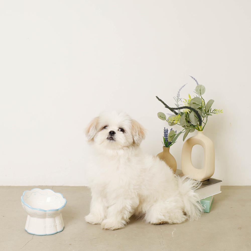 lace pattern food bowl
