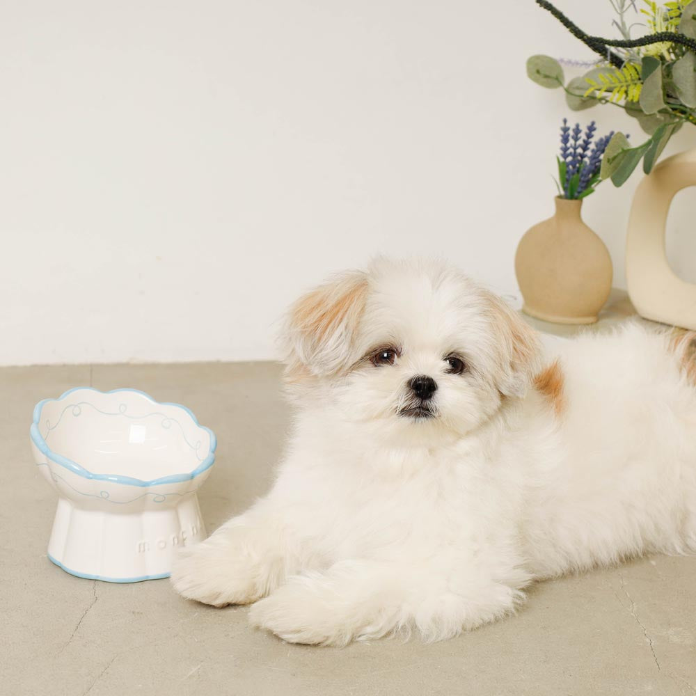 lace pattern food bowl