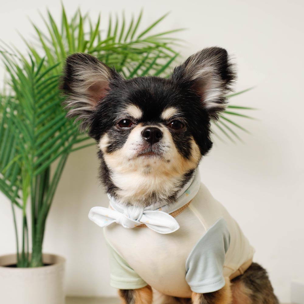 Cool insect repellent ice print ribbon bandana [with ice pack]