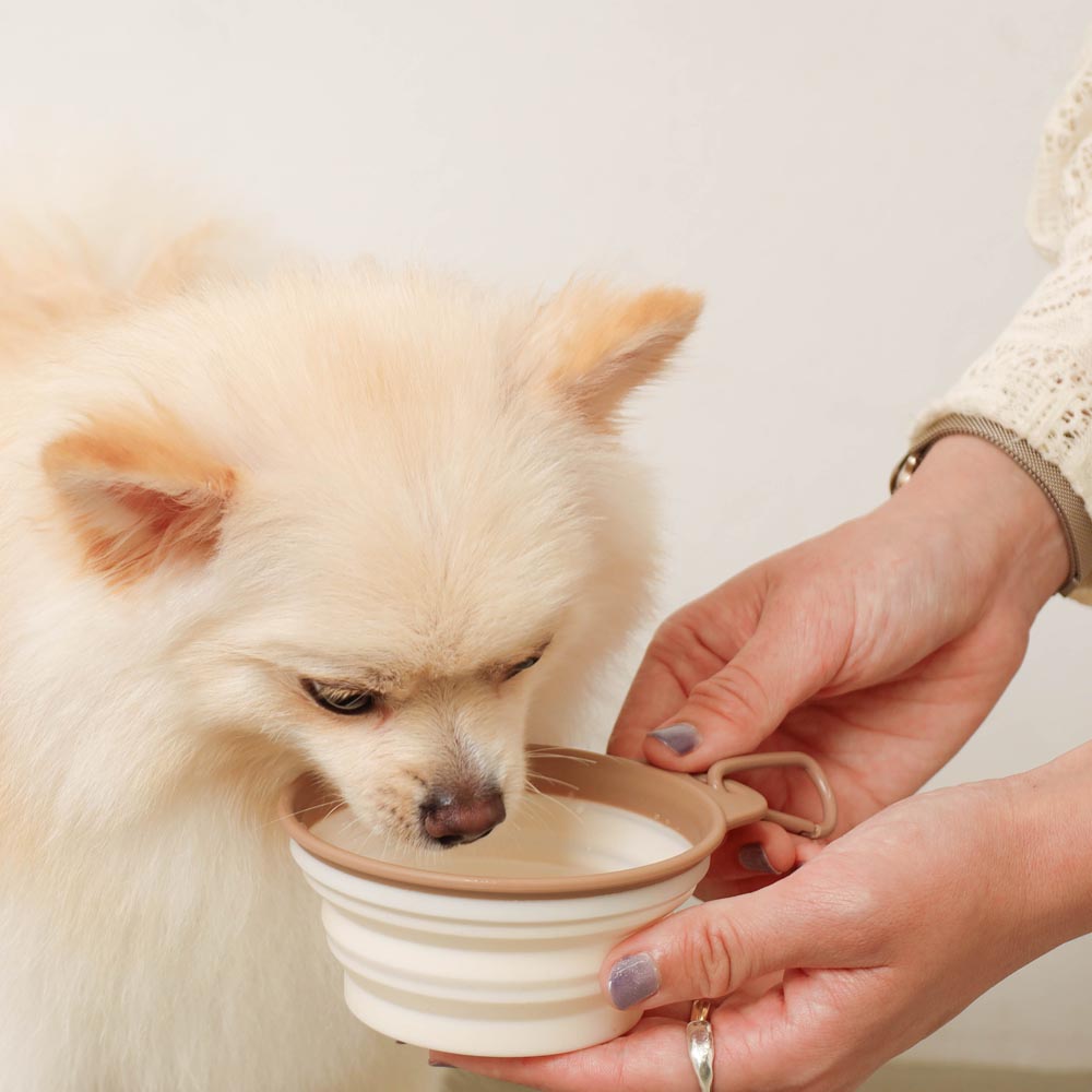 Foldable bicolor food bowl with hook