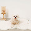 Cable pom pom drop shoulder knit (for your dog)