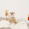 Cable pom pom drop shoulder knit (for your dog)