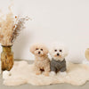 Cable pom pom drop shoulder knit (for your dog)