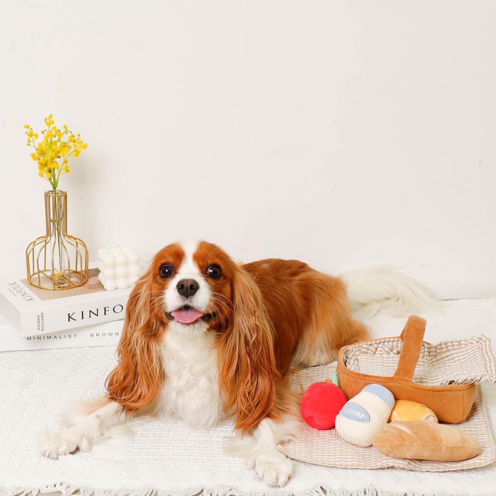 picnic set toys