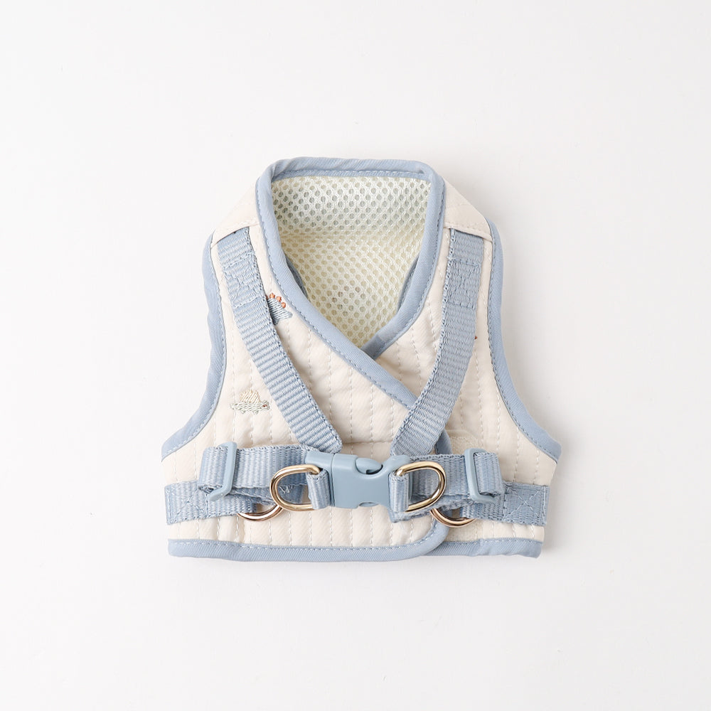Dinosaur pattern embroidery harness + lead set [Name embroidery available]