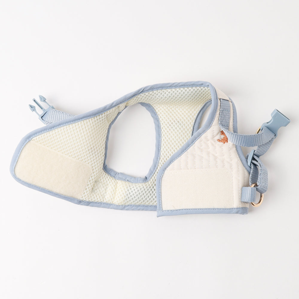 Dinosaur pattern embroidery harness + lead set [Name embroidery available]