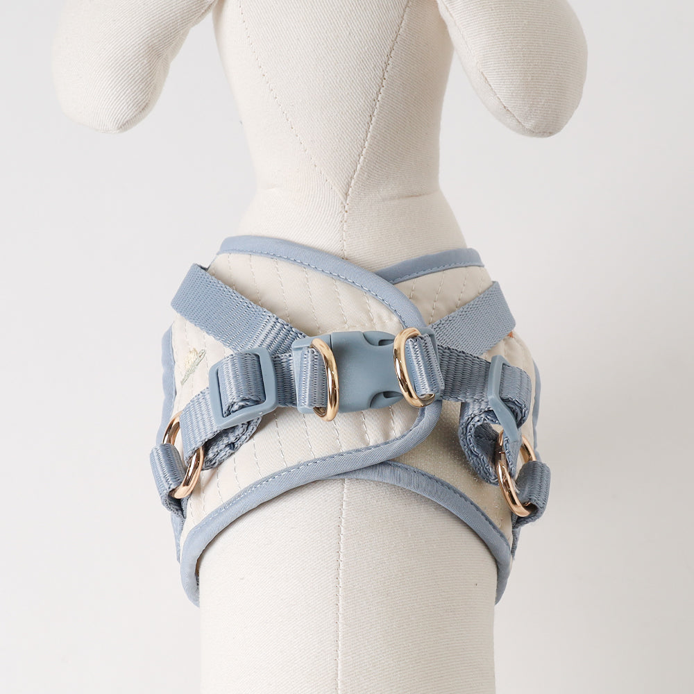 Dinosaur pattern embroidery harness + lead set [Name embroidery available]