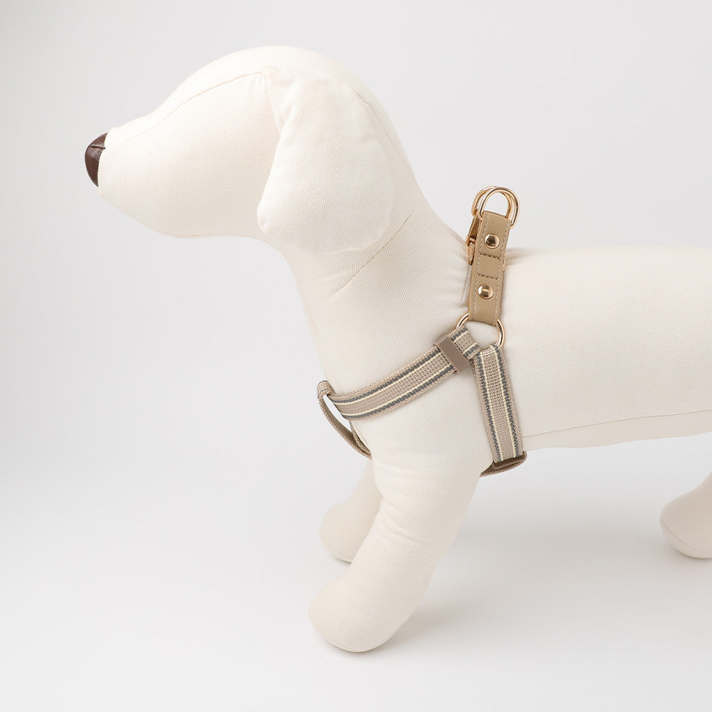 Mixed color reflective harness