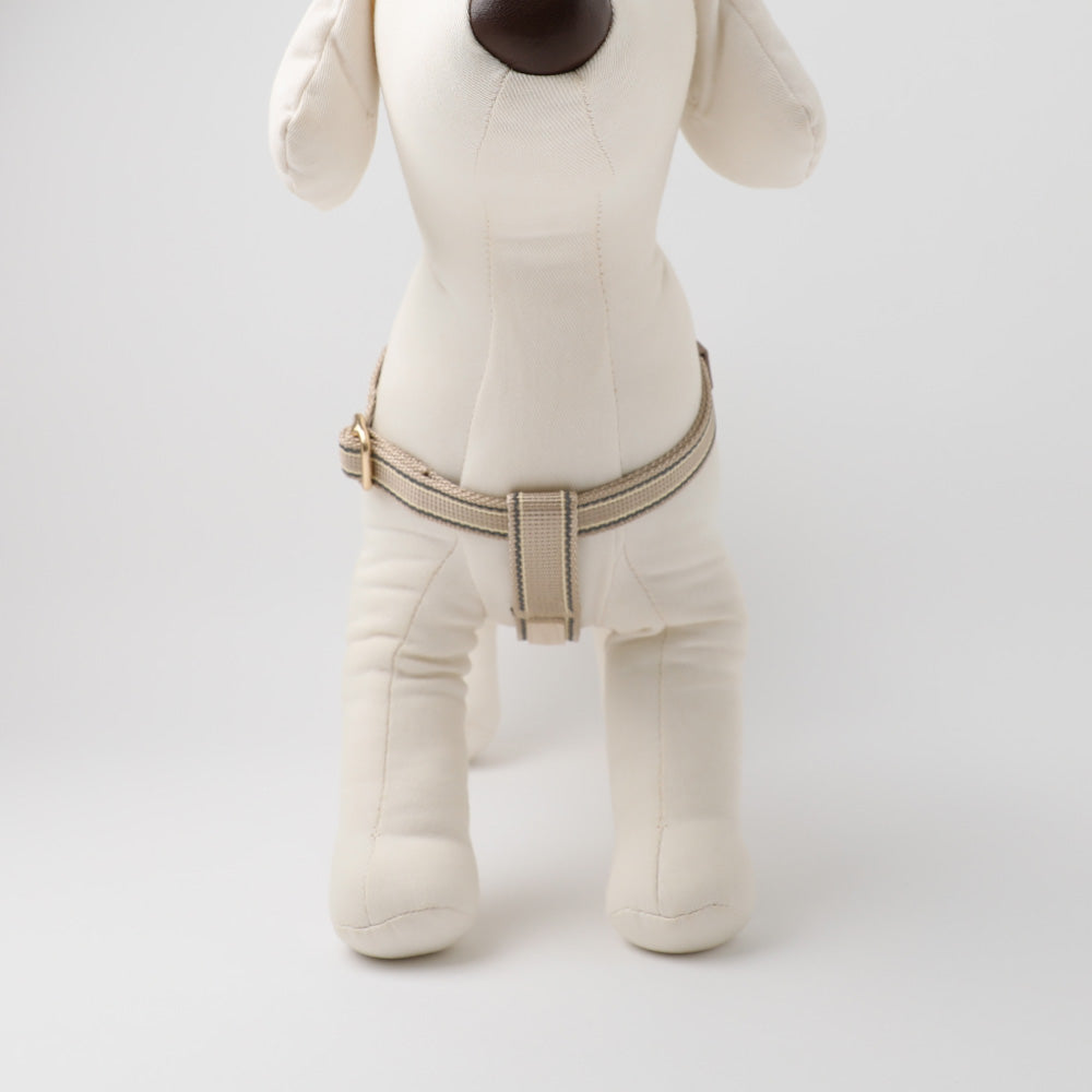 Mixed color reflective harness