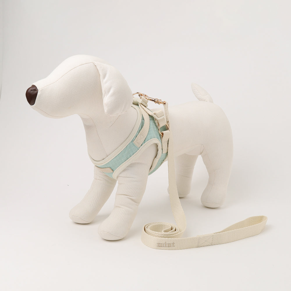 Bicolor Harness + Lead SET [Name embroidery available]