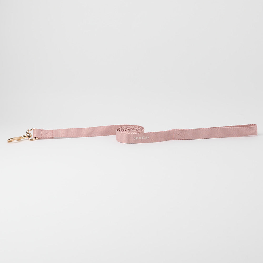 Angel Harness + Lead SET [Compatible with name embroidery]