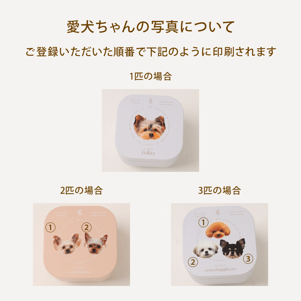 マルチスモール缶ケース【うちの子グッズ】