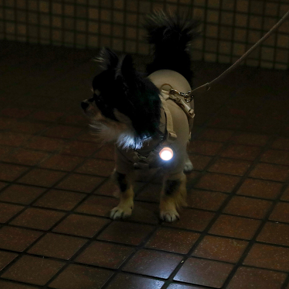 サークルお散歩ライト