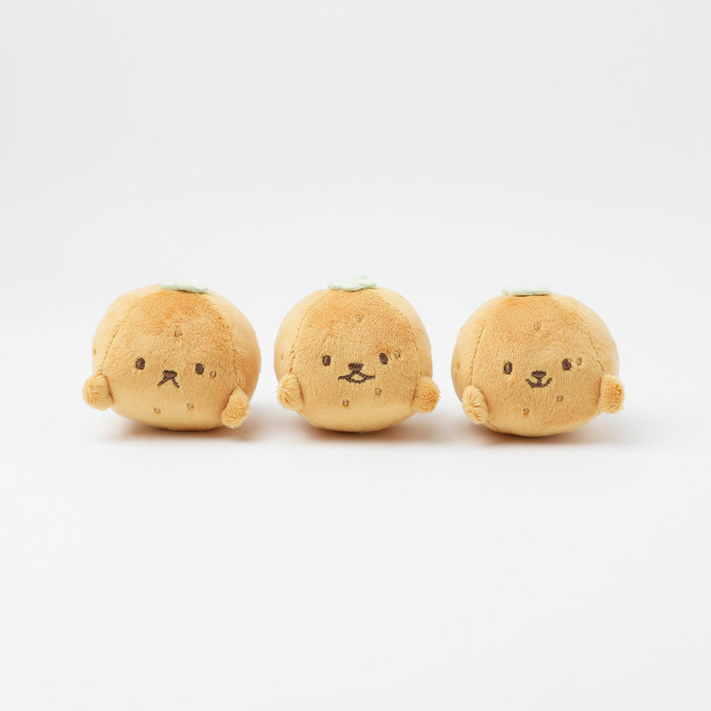 ダンボールみかんノーズワークおもちゃセット