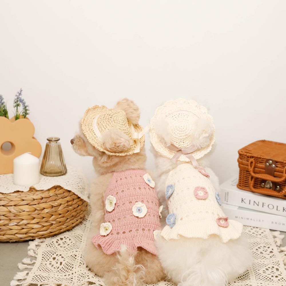 麦わら帽子Ꮇお好みカラー✗ホワイト犬・猫 プルメリア装飾❁handmade リボン麦わら帽子