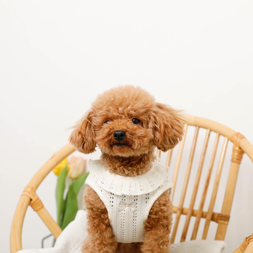 冷感リボン刺繍ワンポイントフリルノースリーブトップス