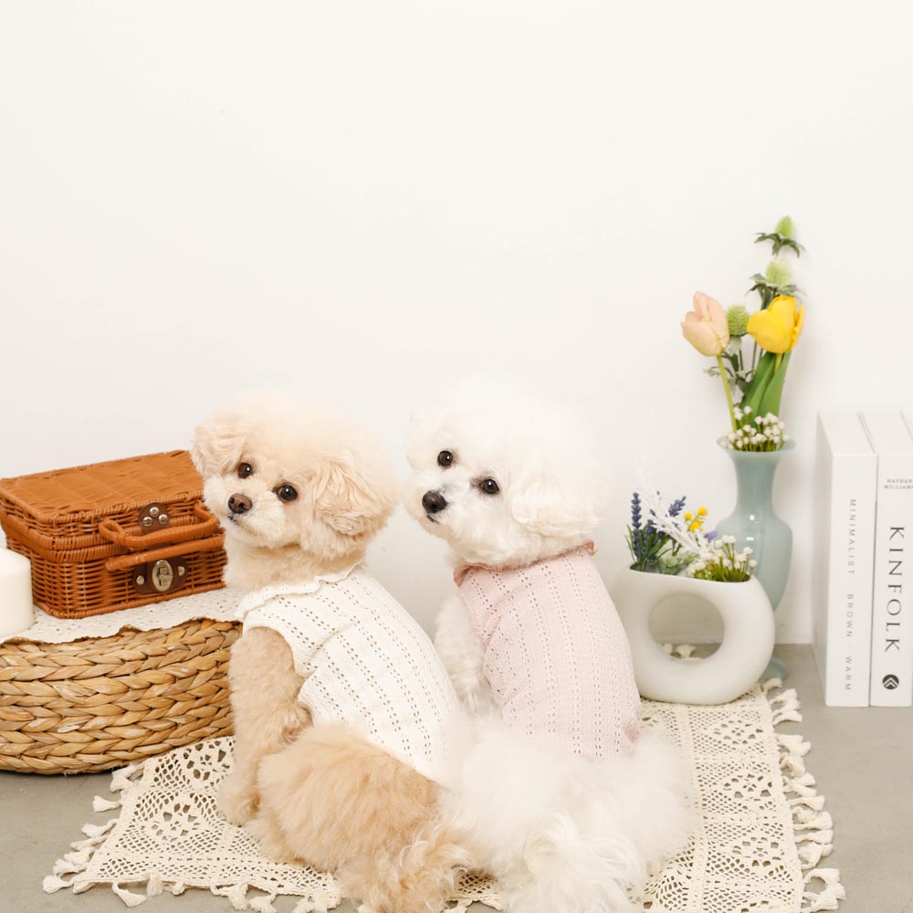 冷感リボン刺繍ワンポイントフリルノースリーブトップス