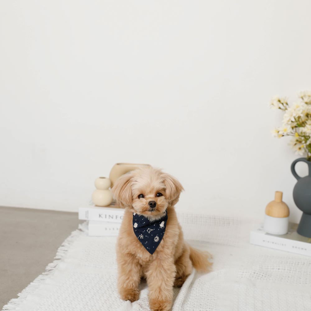 Star pattern embroidery bandana with cold feeling ice pack pocket [Includes ice pack]